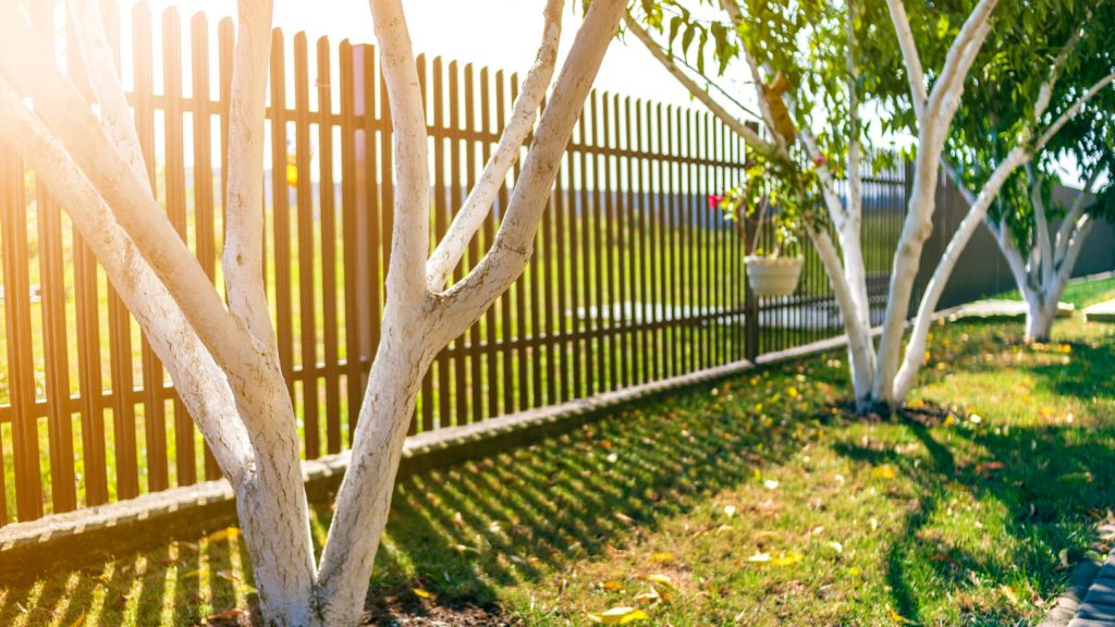 Nos conseils pour choisir la clôture de votre jardin